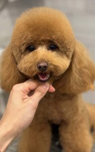gallery_27